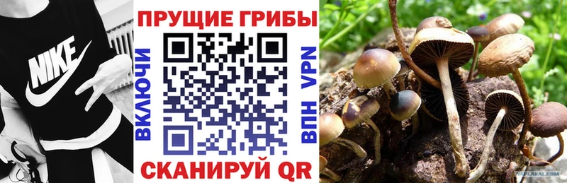 omg Нефтегорск Псилоцибиновые грибы мухоморы