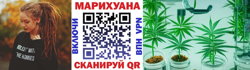 где найти   Нефтегорск  Конопля Ganja 